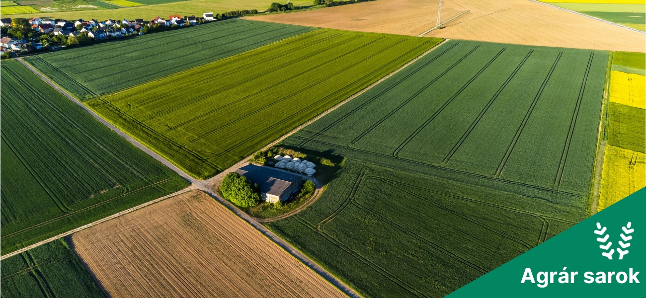 Föld hívja gazdát!