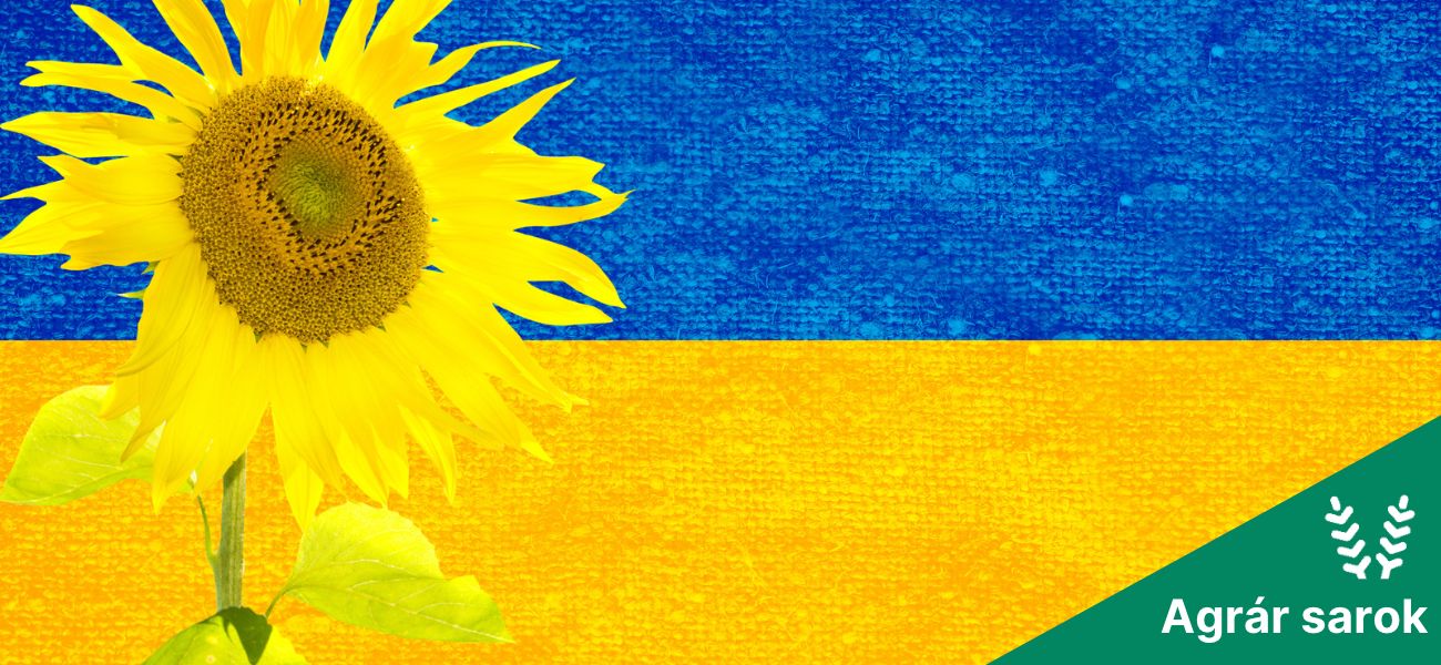 Hat-e jó ukrán napraforgótermés?