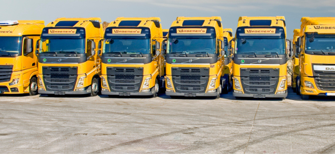 Magyar taggal bővül a régiós CECE index