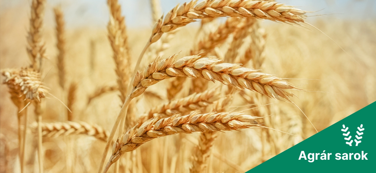 Növekvő készletnyomás