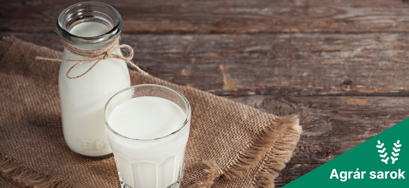 „Túltoltuk Béláim”