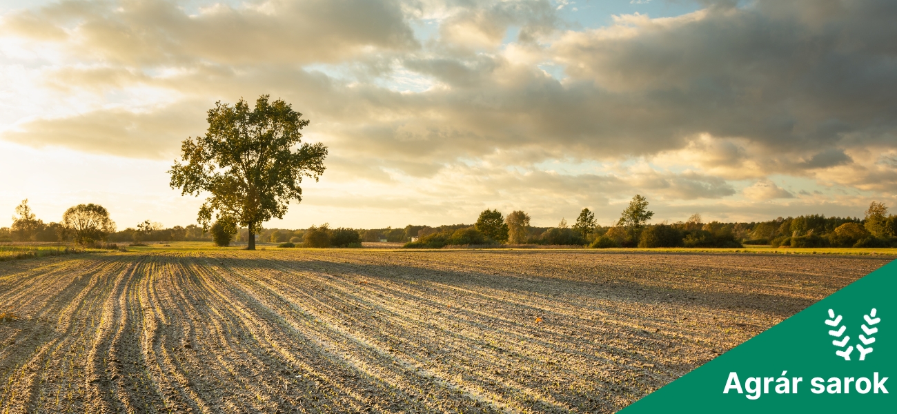 Ukrajna éhező földjei